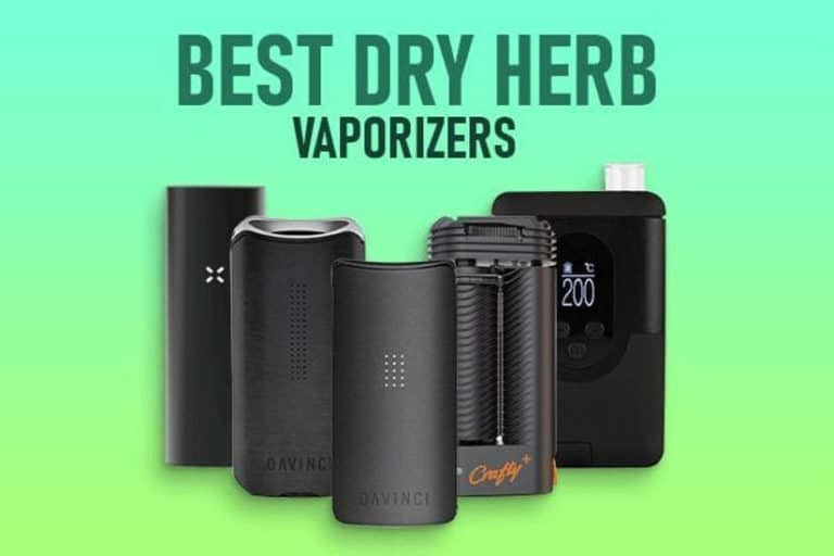 Dry Herb Vaporizers: Everything You Need To Know About Them